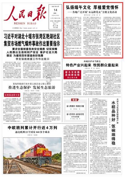 美人鱼的聚会